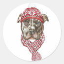 Search for pitbull stickers Dog