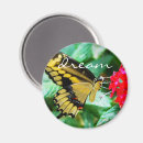 Search for butterfly on black magnets Swallowtail