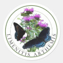 Search for butterfly and bee stickers Pollinators