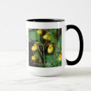 Search for lady slipper mugs Flower