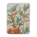 Search for aviary magnets Domestic