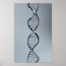 Search for dna posters Microbiology