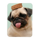 Search for dog training magnets Cute