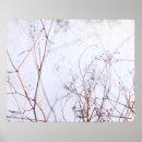 Search for wildflower abstract posters Botanical