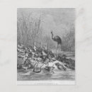 Search for moral postcards Animal