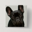 Search for one shot badges Baby animals
