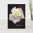 Search for sympathy notes for flowers Rose