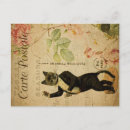 Search for dancing cat postcards Feline