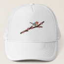 Search for robin hats Nature