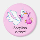 Search for bundle magnets Baby