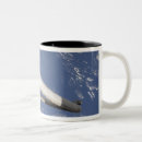 Search for manipulative mugs Canadarm