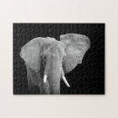 Search for black and white elephant puzzles Safari