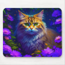 Search for orange kitty cat mouse mats Kitten