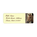 Search for arabian horse return address labels Horses