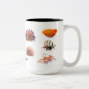 Search for invertebrate mugs Ocean