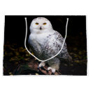 Search for owl gift bags Bird