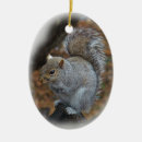 Search for squirrel christmas tree decorations wildlife