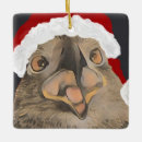 Search for bald eagle christmas tree decorations Animals