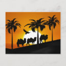 Search for camel desert postcards Sunset