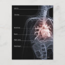 Search for system postcards Vertical