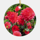 Search for dahlia flower christmas tree decorations Dahlias