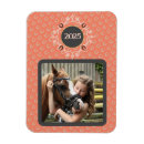 Search for equestrian magnets Equine
