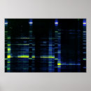 Search for sequence posters Dna
