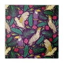 Search for parrot tiles Pattern