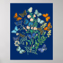 Search for core posters Butterflies