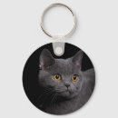 Search for british shorthair gifts Pets