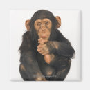 Search for memo magnets Cute