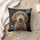 Search for dog face cushions For her
