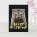 Search for wombat cards Cute