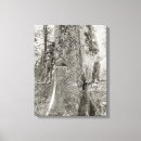 Search for 1905 canvas prints Forest