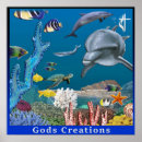 Search for god creation posters Religious