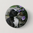 Search for panting badges Standing