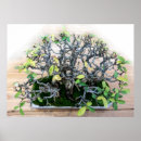 Search for bonsai posters Nature
