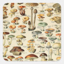 Search for vegetation stickers Mushroom