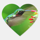 Search for green hummingbird stickers Flying
