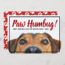 Search for humbug christmas cards Typography