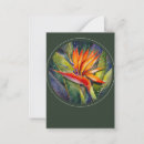 Search for birds of paradise note cards Nature