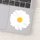 Search for background stickers Summer