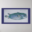Search for puffer posters Ocean