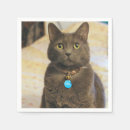 Search for grey cat napkins Feline