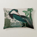 Search for louisiana cushions Birds of america