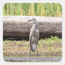 Search for great lake stickers Wildlife