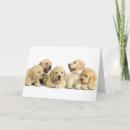 Search for litter cards Cute