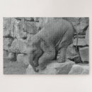 Search for black and white elephant puzzles Nature