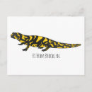 Search for salamander postcards Reptile