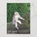 Search for funny monkey postcards Vacation